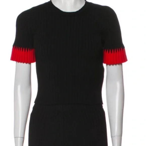 Alexander McQueen Black and Red Skirt Set